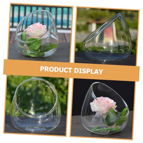 MOTHNUR Schrägöffnung Glas Terrarium Mikrolandschaft Pflanzenflasche für Bromelien Glatte Oberfläche Modernes Design Leicht Vielseitig für Pflanzen und Dekoration MOTHNUR Schrägöffnung Glas Terrarium Mikrolandschaft Pflanzenflasche für Bromelien Glatte Oberfläche Modernes Design Leicht Vielseitig für Pflanzen und Dekoration von MOTHNUR
