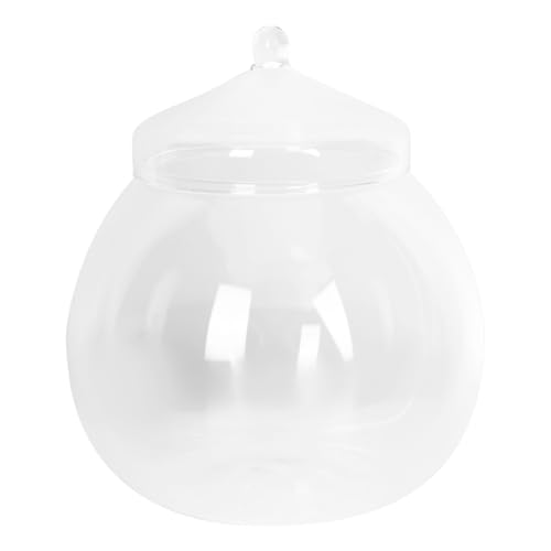 MOTHNUR Transparente Glasflasche mit Deckel Langlebiger Micro Landschafts flaschengarten für Innenraumdekoration Kompakte DIY Ökoflasche Klarer Pflanzenterrarium Halter für Schreibtisch von MOTHNUR