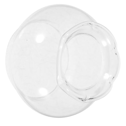 MOTHNUR Transparenter Glasschirm für Petroleumlampe Winddicht und Hitzebeständig Klarer Lampenschirm für Innen Außenöllampen Einfach zu Reinigen Hochwertiges Glas für Lichtdurchlässigkeit von MOTHNUR