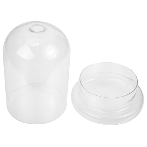 MOTHNUR Transparentes U förmiges Glasgehäuse mit Öffnung Stilvolle Glasglocke für Trockenblumen und DIY Dekoration Flache Basis für Tisch Regal und Büro als Eternal Flower Cover MOTHNUR Transparentes U förmiges Glasgehäuse mit Öffnung Stilvolle Glasglocke für Trockenblumen und DIY Dekoration Flache Basis für Tisch Regal und Büro als Eternal Flower Cover von MOTHNUR