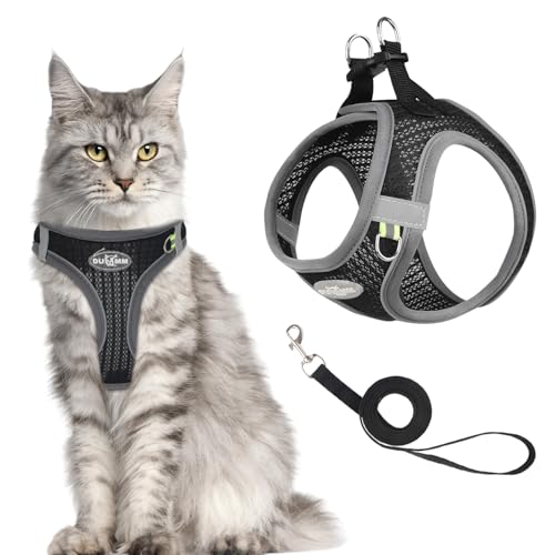 MOTIBACK Katze Komfort Breathable Schwarze Katzengeschirr mit Softgeschirr für Brustgeschirr Harness, Katzengeschirr mit Leine Ausbruchsicher, Verstellbar Katzenleine mit Geschirr für Katzen (S) von MOTIBACK
