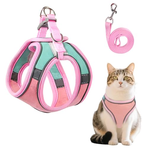 MOTIBACK Katzengeschirr mit Leine Ausbruchsicher, Atmungsaktives, Leichtes Katzengeschirr mit Verstellbarem Brustgurt für Sichere Spaziergänge, Fluchtfestes Kitten-Hundegeschirr für Kleine Hunde (M) MOTIBACK Katzengeschirr mit Leine Ausbruchsicher, Atmungsaktives, Leichtes Katzengeschirr mit Verstellbarem Brustgurt für Sichere Spaziergänge, Fluchtfestes Kitten-Hundegeschirr für Kleine Hunde (M) von MOTIBACK