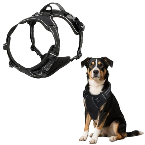 MOTIBACK Schwarz Hundegeschirr & Katzengeschirr mit Leine Softgeschirr für Katze Brustgeschirr, Hundegeschirr Ausbruchsicher Verstellbar Hundenweste, Sichere Reflexstreifen Brustgeschirr (L) von MOTIBACK