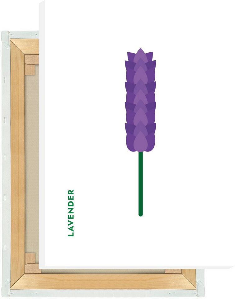 MOTIVISSO Leinwandbild Kräuter - Lavendel - Lavender von MOTIVISSO