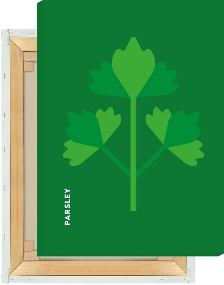 MOTIVISSO Leinwandbild Kräuter - Petersilie - Parsley von MOTIVISSO