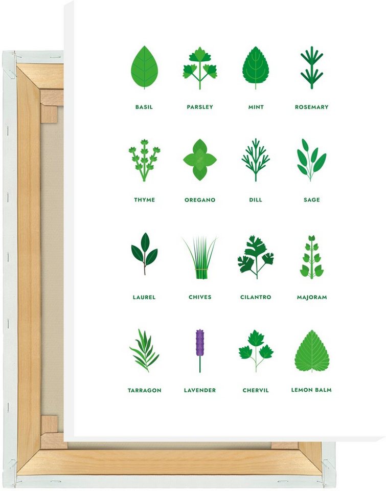 MOTIVISSO Leinwandbild Kräuter - Übersicht von MOTIVISSO
