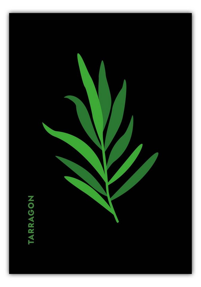 MOTIVISSO Poster Kräuter - Estragon - Tarragon von MOTIVISSO