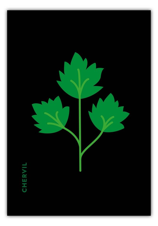 MOTIVISSO Poster Kräuter - Kerbel - Chervil von MOTIVISSO