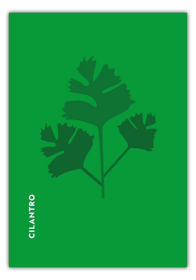 MOTIVISSO Poster Kräuter - Koriander - Cilantro von MOTIVISSO