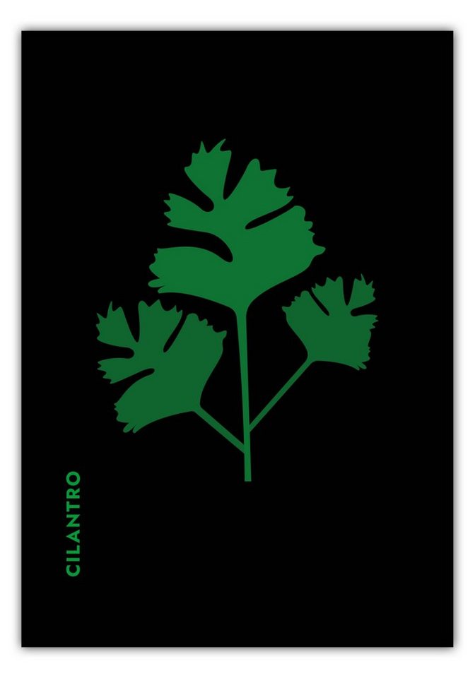 MOTIVISSO Poster Kräuter - Koriander - Cilantro von MOTIVISSO