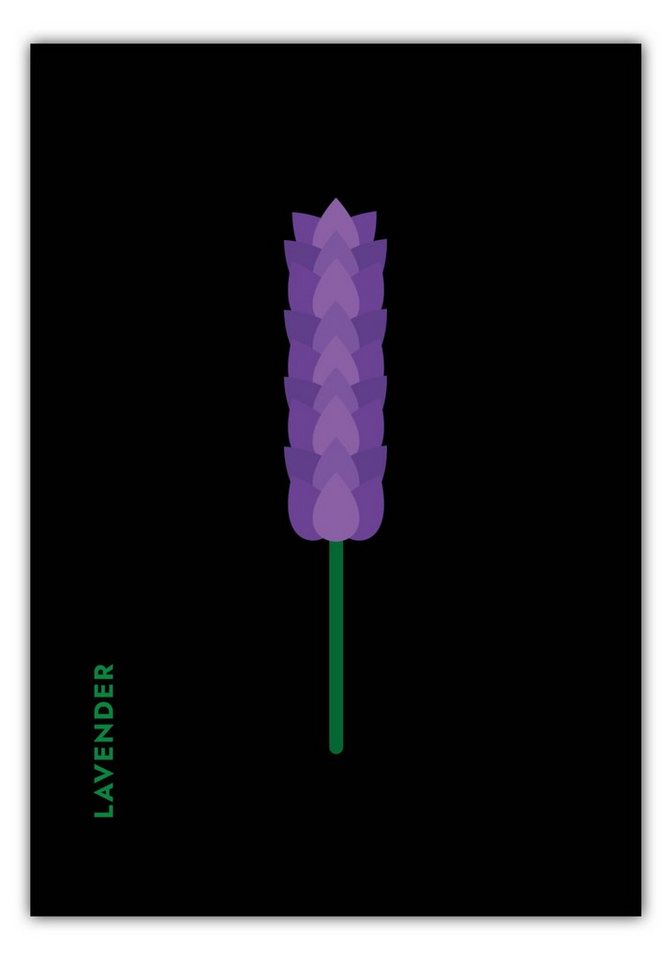 MOTIVISSO Poster Kräuter - Lavendel - Lavender von MOTIVISSO