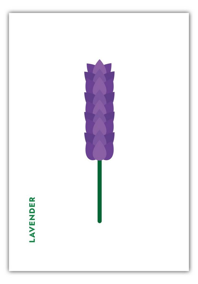 MOTIVISSO Poster Kräuter - Lavendel - Lavender von MOTIVISSO