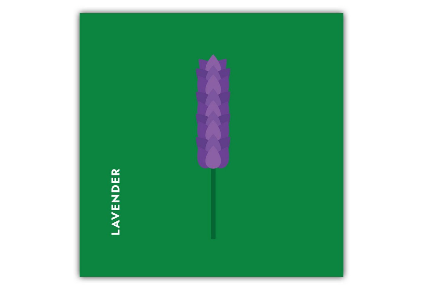 MOTIVISSO Poster Kräuter - Lavendel - Lavender von MOTIVISSO