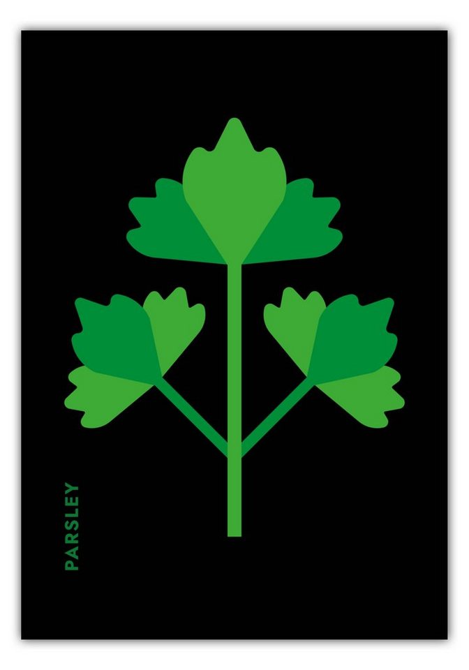 MOTIVISSO Poster Kräuter - Petersilie - Parsley von MOTIVISSO