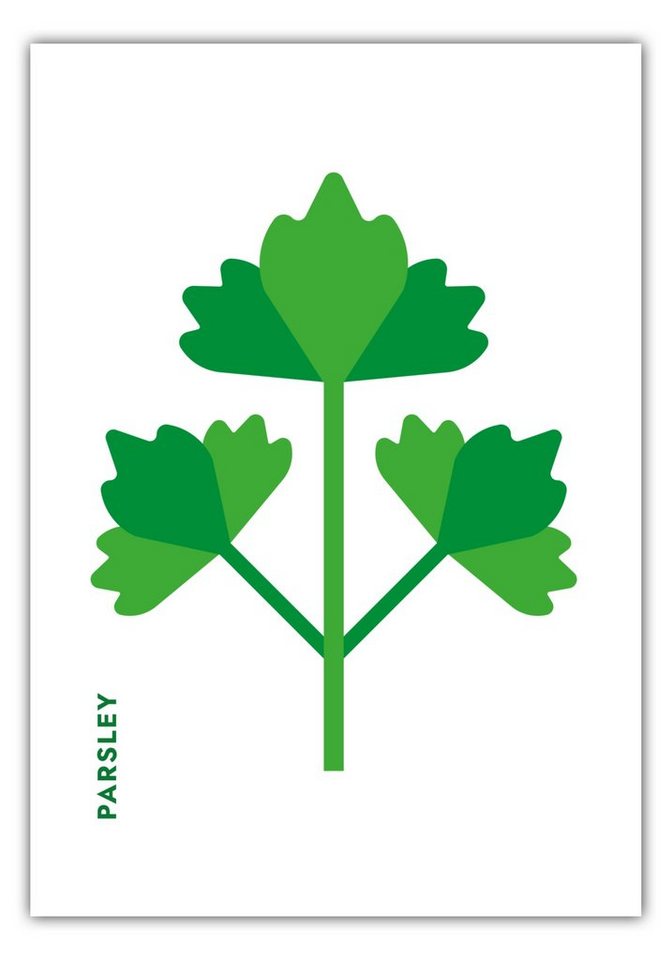 MOTIVISSO Poster Kräuter - Petersilie - Parsley von MOTIVISSO