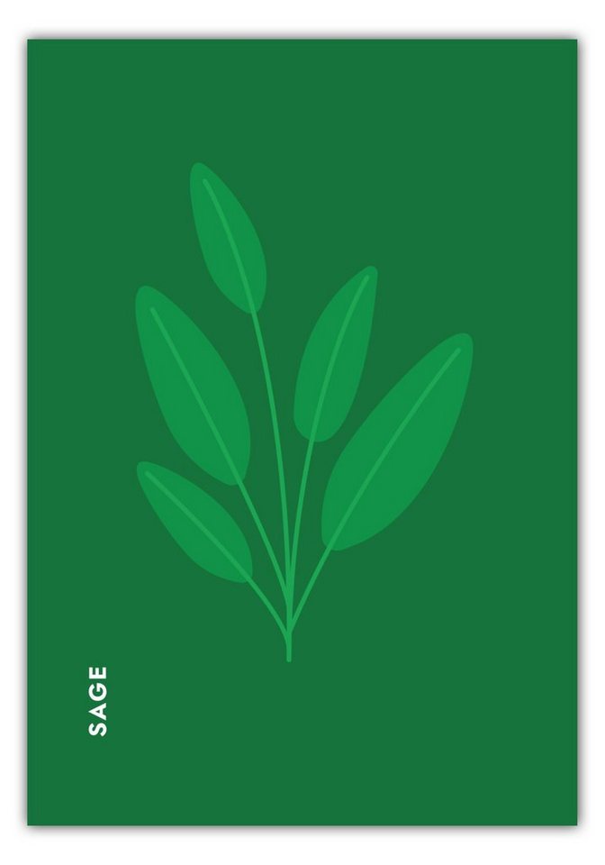 MOTIVISSO Poster Kräuter - Salbei - Sage von MOTIVISSO