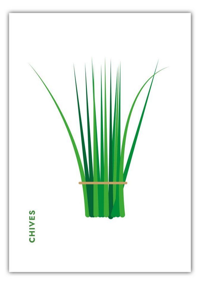 MOTIVISSO Poster Kräuter - Schnittlauch - Chives von MOTIVISSO