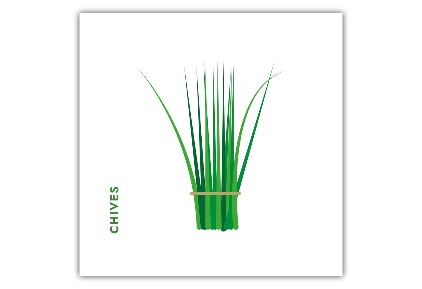 MOTIVISSO Poster Kräuter - Schnittlauch - Chives von MOTIVISSO