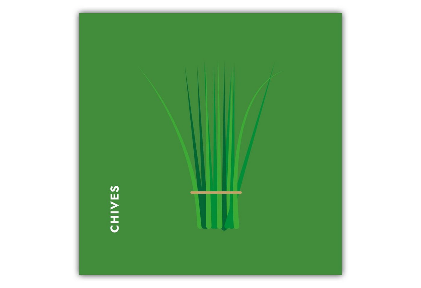 MOTIVISSO Poster Kräuter - Schnittlauch - Chives von MOTIVISSO