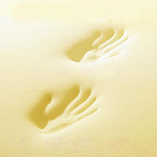 MOTTK Maßgeschneiderte Größe Ersatz-Schaumstoffplatte Hochdichter Schwamm,Memory-Schaumstoff-Sitzpolster für Sofakissen Ersatz-Bank-Sitzkissen (5cm dick,120x40cm) von MOTTK
