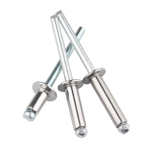 M4 × 10 mm, 100 Stück Blindnieten, 304 Edelstahl, silberner Rundkopf-Zugnagel und Einsteckschloss für Heimwerker, Möbel, Autoreparatur von MOUMOUTEN