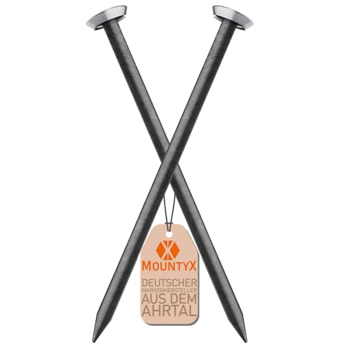 MountyX® – Bildernägel mit 20 mm Länge– Stahlnägel für den Einsatz auf Beton, Ziegelstein, Putz & Holz – Made in Europe (Silberner Kopf mit Halter, 100 Stück) von MOUNTYX