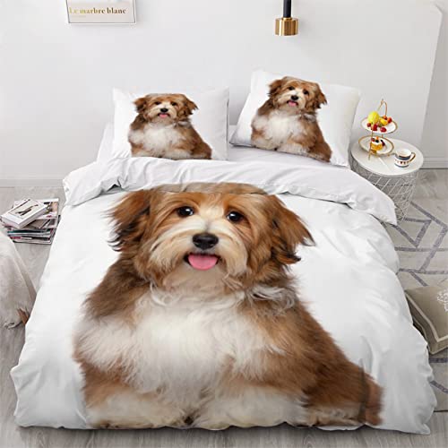 MOUPL Havaneser Welpe Bettwäsche 135x200cm 3D Druck Haustier Hund Bettwäsche Set Kinder Weich Mikrofaser Hypoallergen Bettwaren Bettbezug mit Reißverschluss und 2 Kissenbezug 80x80cm von MOUPL