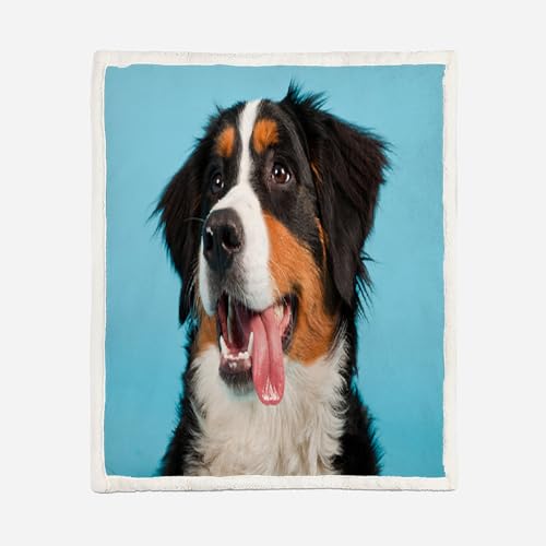 MOXINO 3D Border Collie Sherpa Decke 130x150 cm Tiere Hunde Kuscheldecke Flauschig Microfiber Fleecedecke Weich und Warme Wohndecke Throw Blanket Sofadecke Couchdecke Tagesdecke（Muster 20-18） von MOXINO