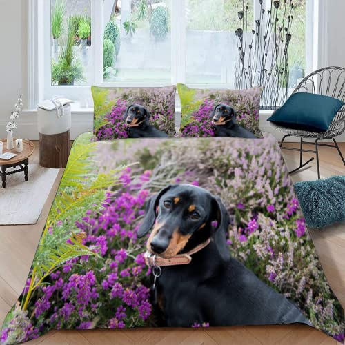 MOXINO 3D Dackel Bettwäsche 155x220 cm 3teilig Tier Hund Bettbezüge für Teenager Jungen Mädchen Einzelbett Leicht Mikrofaser Bettbezug Sommer Warm Weiche Bettwaren mit 2 Kissenbezüge 80x80 von MOXINO