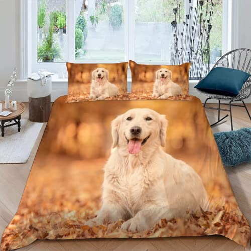 MOXINO 3D Golden Retriever Bettwäsche 155x220 cm 3teilig Tier Hund Bettbezüge für Teenager Jungen Mädchen Einzelbett Leicht Mikrofaser Bettbezug Sommer Warm Weiche Bettwaren mit 2 Kissenbezüge 80x80 von MOXINO