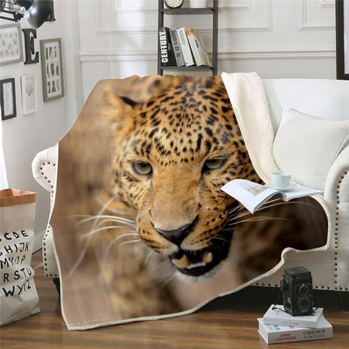 MOXINO 3D Leopard Sherpa Decke 130x150 cm Leopard Kuscheldecke Flauschig Microfiber Fleecedecke Weich und Warme Wohndecke Throw Blanket Sofadecke Couchdecke Tagesdecke（Muster 6-13） von MOXINO