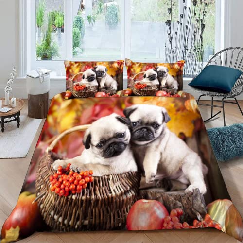 MOXINO 3D Mops Bettwäsche 155x220 cm 3teilig Tier Hund Bettbezüge für Teenager Jungen Mädchen Einzelbett Leicht Mikrofaser Bettbezug Sommer Warm Weiche Bettwaren mit 2 Kissenbezüge 80x80 von MOXINO