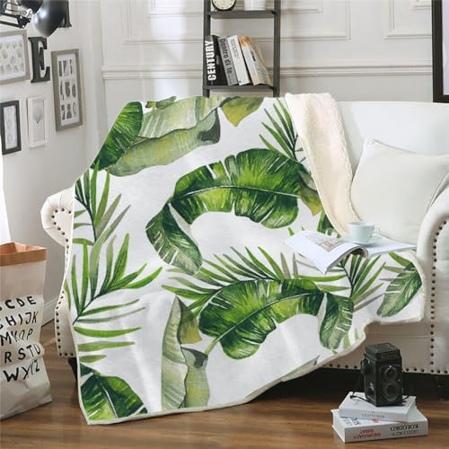 MOXINO 3D Palmblätter Sherpa Decke 150x200 cm Palmblätter Kuscheldecke Flauschig Microfiber Fleecedecke Weich und Warme Wohndecke Throw Blanket Sofadecke Couchdecke Tagesdecke（Muster 10-2） von MOXINO