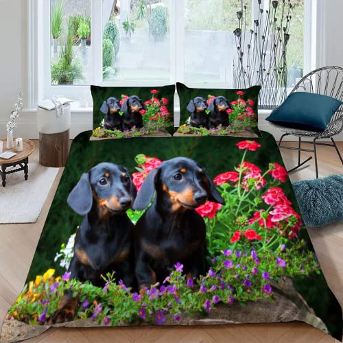 MOXINO Dackel Bettbezüge für Kinder Jungen Mädchen Einzelbett 3D Tier Hund Bettwäsche 135x200 cm 2teilig Leicht Mikrofaser Bettbezug Sommer Warm Weiche Bettwaren mit Kissenbezüge 80x80 von MOXINO