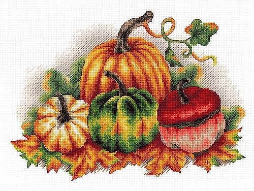 MP Studia Kreuzstich-Stickset für Erwachsene und Anfänger, Gemüse – bunte Kürbisse, 18 x 26 cm, 14 Karat. MP Studia Kreuzstich-Stickset für Erwachsene und Anfänger, Gemüse – bunte Kürbisse, 18 x 26 cm, 14 Karat. von MP Studia