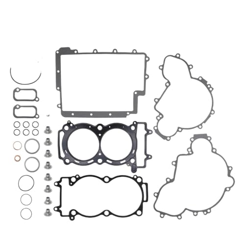 Dichtungskit kompatibel mit RZR XP 4 900 und RZR XP 900 Models 2012 2013 2014 Fits Teilenummer 808970 von MPDACJGY
