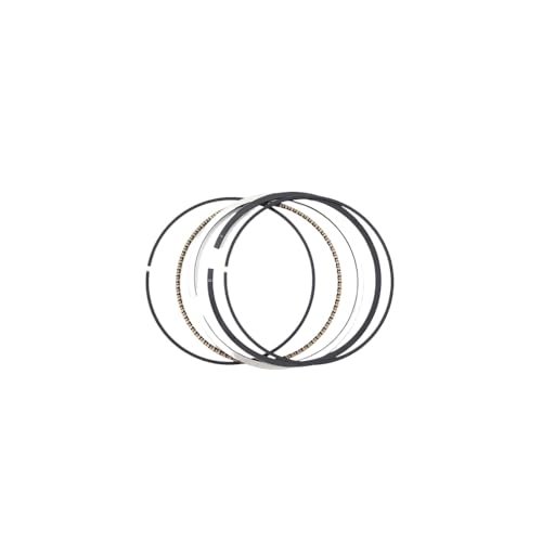 ZS174MN-3 Zylinderkit Motor Block Blockdichtungskolbenring-Ring-Set kompatibel mit 4-Takt-Wasserkühlungsmotorrädern für CBS300-Modelle(CBS300 Piston Ring) von MPDACJGY