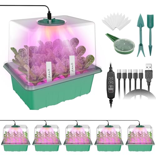 MQHUAYU anzuchtkasten mit licht mit vollem Spektrum, 5 Stück / 60 Zellen Intelligenter Timer zimmergewächshaus anzuchtkasten mit Luftfeuchtigkeitskuppel, Saatschalen für die Pflanzenzucht MQHUAYU anzuchtkasten mit licht mit vollem Spektrum, 5 Stück / 60 Zellen Intelligenter Timer zimmergewächshaus anzuchtkasten mit Luftfeuchtigkeitskuppel, Saatschalen für die Pflanzenzucht von MQHUAYU