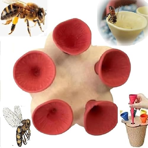 Bienen Insekten Trinkbecher, Bee Insect Drinking Bee Cups für Bienen Trinken Insect Feeder Bienenbecher, durstige Bestäuber brauchen ein Getränk, Bienentränke für den Garten (Rot) von MQLAE