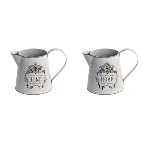 MQODLFP 2X Antikes Franzoesisches Art-Land-Rustikaler Urspruenglicher -Vase Pitcher Flower Vase Fuer von MQODLFP
