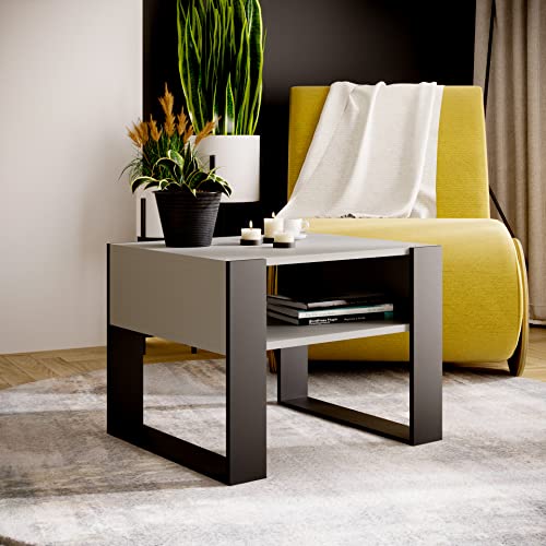 MRBLS Couchtisch – modernes rustikales Design – Wohnzimmer-Tisch Beistelltisch Kaffeetisch Sofatisch Teetisch aus Holz (Grau Matt - Schwarz Matt) - 65 x 45 x 53,6cm (B/H/T) von MRBLS_HOME