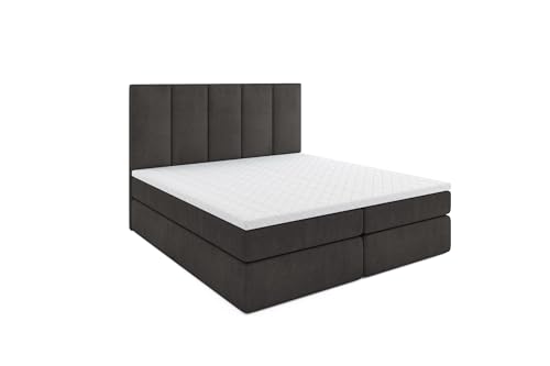 MRGROUP Boxspringbett mit Bettkasten Latina 120 x 200 cm, Samtstoff, Polsterbett mit Bonell-Matratze und Topper, Doppelbett mit Stauraum, Bett für Schlafzimmer, Gepolstertes Kopfteil, H3, dunkelgrau von MRGROUP