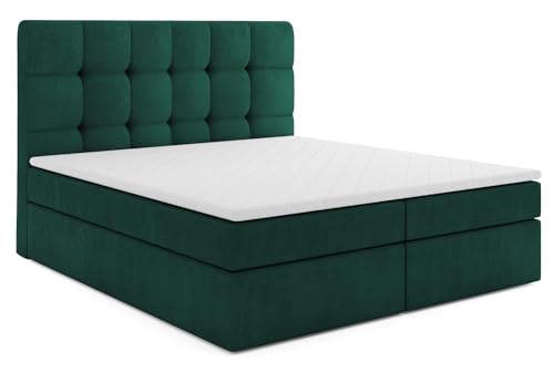 MRGROUP Boxspringbett mit Bettkasten Karolina 140 x 200 cm, Samtstoff, Polsterbett mit Bonell-Matratze und Topper, Doppelbett mit Stauraum, Bett für Schlafzimmer, Gepolstertes Kopfteil, H3, grün MRGROUP Boxspringbett mit Bettkasten Karolina 140 x 200 cm, Samtstoff, Polsterbett mit Bonell-Matratze und Topper, Doppelbett mit Stauraum, Bett für Schlafzimmer, Gepolstertes Kopfteil, H3, grün von MRGROUP