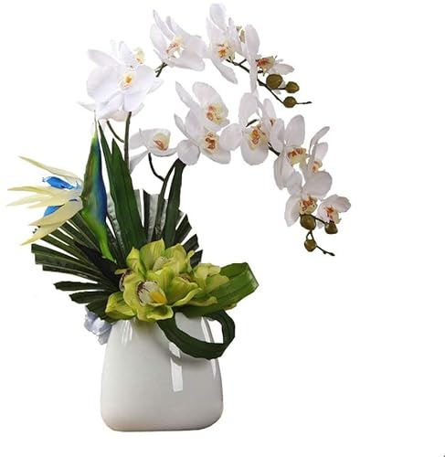 MRKU Künstliche Blumen mit Vase, Phalaenopsis-Bonsai, künstliche Blume in weißem Orchideenarrangement aus Keramik MRKU Künstliche Blumen mit Vase, Phalaenopsis-Bonsai, künstliche Blume in weißem Orchideenarrangement aus Keramik von MRKU