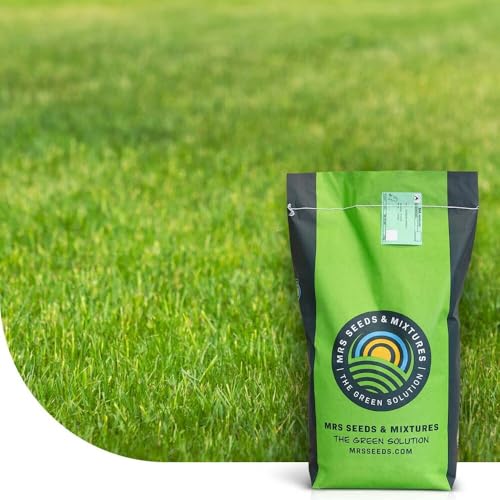 Allround Rasensamen | 1 kg - 50 m2 | Berliner Tiergarten | Gebrauchsrasen Grassamen | Dürre und Trockenheitsresistent | Hohe Schattentoleranz | Schnelle Keimung und Etablierung | MRS Seeds Allround Rasensamen | 1 kg - 50 m2 | Berliner Tiergarten | Gebrauchsrasen Grassamen | Dürre und Trockenheitsresistent | Hohe Schattentoleranz | Schnelle Keimung und Etablierung | MRS Seeds von MRS Seeds & Mixtures
