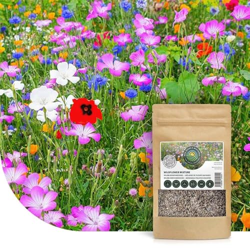 Bunte Insektenfreundliche Wildblumensamen Mischung | 250g - 125m2 | Einjährige & Mehrjährige Blumenmischung | für Wildbienen, Hummeln & Schmetterlinge | Höhe 20-180cm | Schnelle Aussaat | MRS Seeds von MRS Seeds & Mixtures