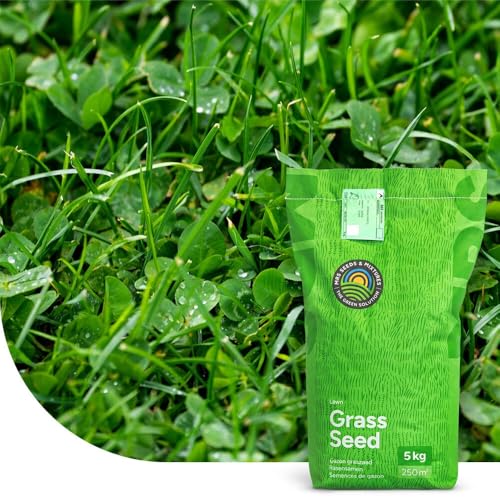 Clover Lawn: Grassamen mit Mikroklee | 1 kg - 50m2 | Ganzjährig grüner Rasen | Pflegeleicht und Trockenheitsresistent | Rasensamen für Zier- und Spielrasen | Verdrängt Unkraut, fixiert Stickstoff Clover Lawn: Grassamen mit Mikroklee | 1 kg - 50m2 | Ganzjährig grüner Rasen | Pflegeleicht und Trockenheitsresistent | Rasensamen für Zier- und Spielrasen | Verdrängt Unkraut, fixiert Stickstoff von MRS Seeds & Mixtures