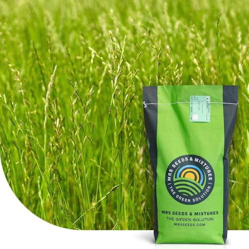 Deutsches Weidelgras - Lolium perenne | 1 kg für ca. 250 m² | Mehrjährig | Sehr schnelle Keimung | Hohe Ausdauer | Für alle Böden geeignet | Ideal zur Nachsaat von Rasenflächen Deutsches Weidelgras - Lolium perenne | 1 kg für ca. 250 m² | Mehrjährig | Sehr schnelle Keimung | Hohe Ausdauer | Für alle Böden geeignet | Ideal zur Nachsaat von Rasenflächen von MRS Seeds & Mixtures