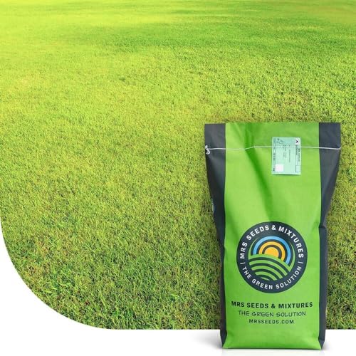 Dry & Strong Trockenrasen: SEHR GUT getestet | 15KG-750m2 | Für sonnige und trockene Standorte | Premiumsaatgut: Dürreresistent und robust | Für Spiel- und Sportrasen geeignet | MRS Seeds Dry & Strong Trockenrasen: SEHR GUT getestet | 15KG-750m2 | Für sonnige und trockene Standorte | Premiumsaatgut: Dürreresistent und robust | Für Spiel- und Sportrasen geeignet | MRS Seeds von MRS Seeds & Mixtures
