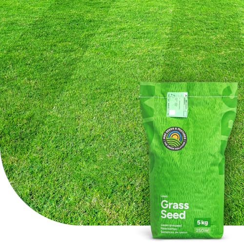 EasyMow: Langsam wachsender Grassamen | 1 Kilo - 50 m² | Sehr geringer Pflegeaufwand | Hohe Trockenheitstoleranz | Robo-Rasensamen: Geeignet für Mähroboter | Sattgrüner Traumrasen | MRS Seeds EasyMow: Langsam wachsender Grassamen | 1 Kilo - 50 m² | Sehr geringer Pflegeaufwand | Hohe Trockenheitstoleranz | Robo-Rasensamen: Geeignet für Mähroboter | Sattgrüner Traumrasen | MRS Seeds von MRS Seeds & Mixtures